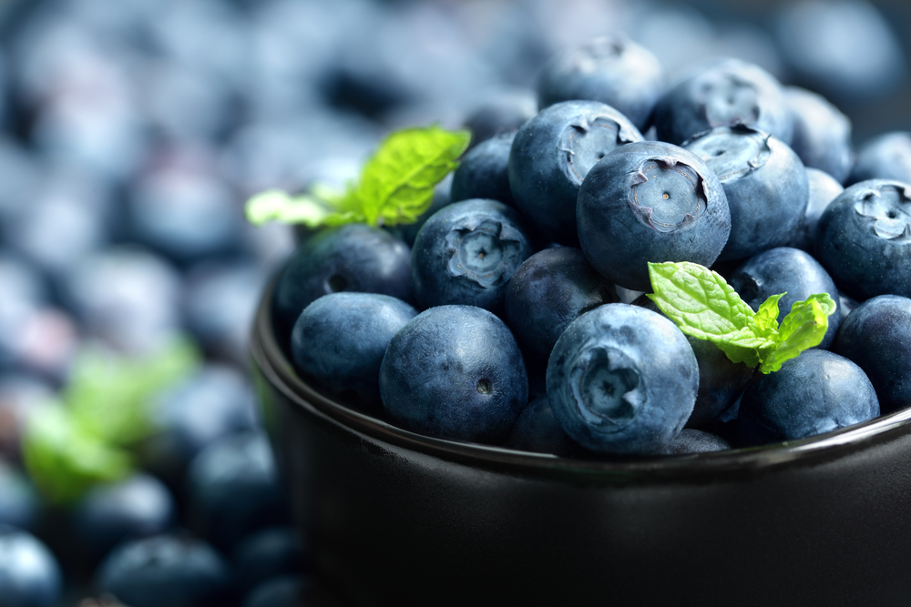 Blueberries in a bowl, macro