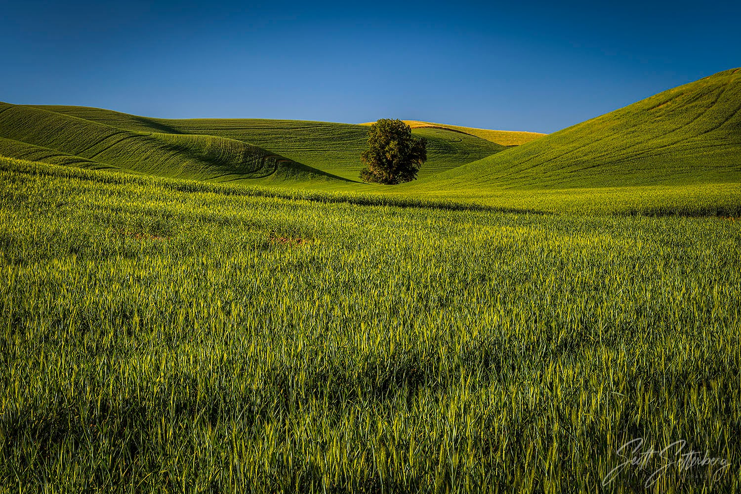 colortexturephototours eastern wash 8