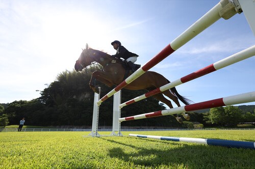 horse jumping over a gate taken by a Canon EOS R6 II