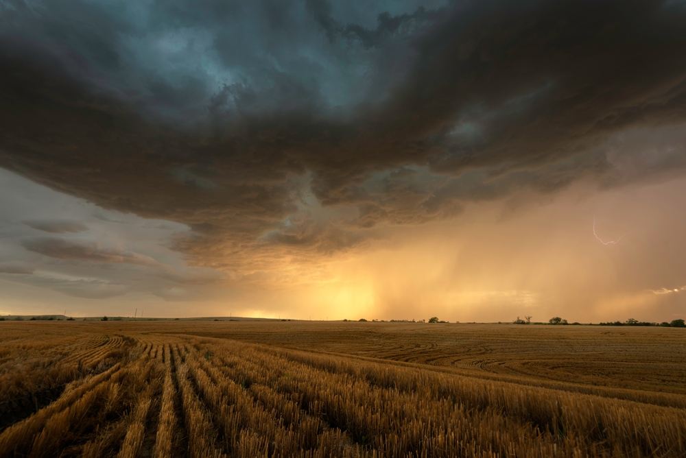 thunderstorm over field