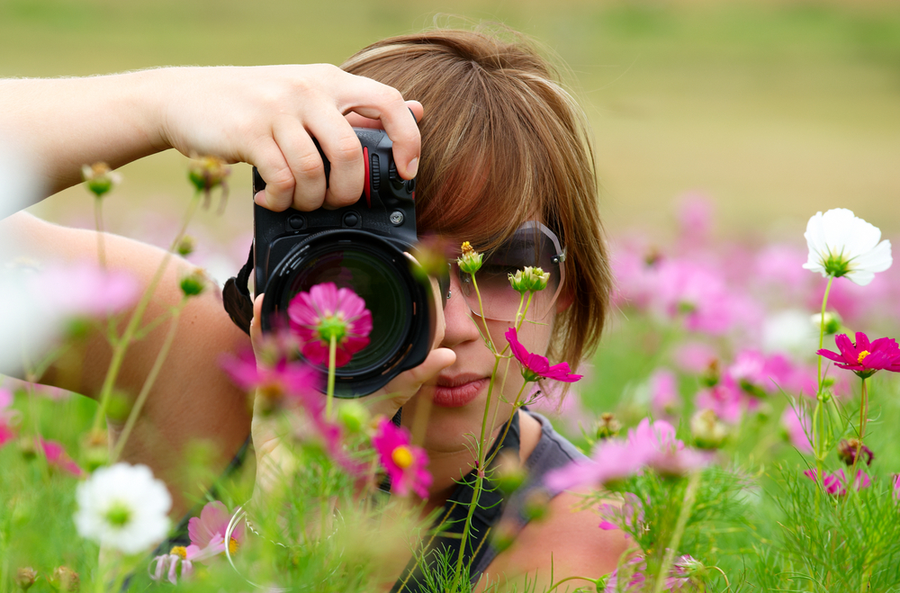 Woman taking photos in a field of Cosmos Flowers